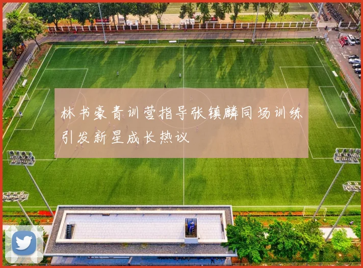 林书豪青训营指导张镇麟同场训练引发新星成长热议